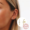 Wholesale S925 Pure Silver Bar Line Curved Petal Geometric Earrings With Inlaid Zircon Light Luxury Creative Design For Women