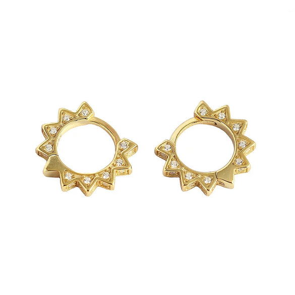 Wholesale S925 Silver Geometric Punk Metal Earring For Women With Electroplating Treatment