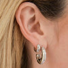 Wholesale S925 Silver Needle Metal Style Crushed Zirconium C Shaped Star And Moon Earrings For Women With Diamond Treatment
