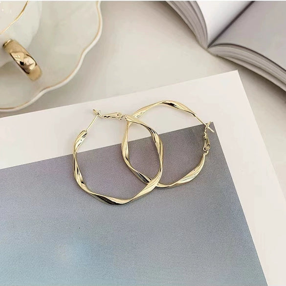 Wholesale S925 Silver Needle Twisted Hoop Earrings Alloy Geometric Electroplated For Women