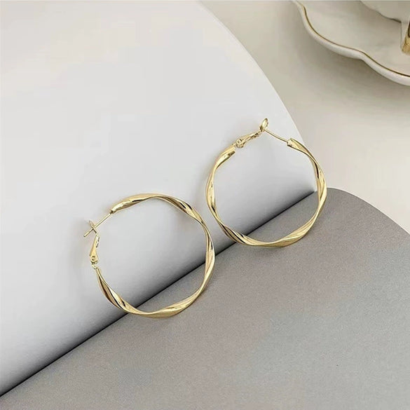 Wholesale S925 Silver Needle Twisted Hoop Earrings Alloy Geometric Electroplated For Women