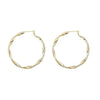 Wholesale S925 Silver Needle Twisted Hoop Earrings Alloy Geometric Electroplated For Women