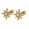Wholesale S925 Silver Zircon Star Earrings For Women