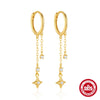 Wholesale S925 Sterling Silver Flower Star Tassel Ear Buckle Light Luxury Earrings With Geometric Pattern And Electroplating For Women