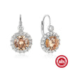 Wholesale S925 Sterling Silver Gemstone Earrings With Geometric Pattern Light Luxury Style High Level Anti Allergic Ear Buckle