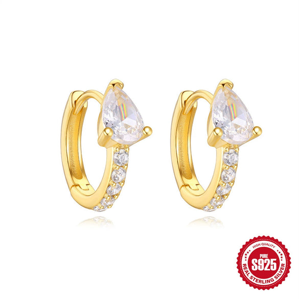 Wholesale S925 Sterling Silver Geometric Light Luxury Elegant Earrings With Electroplating And Zircon Inlay