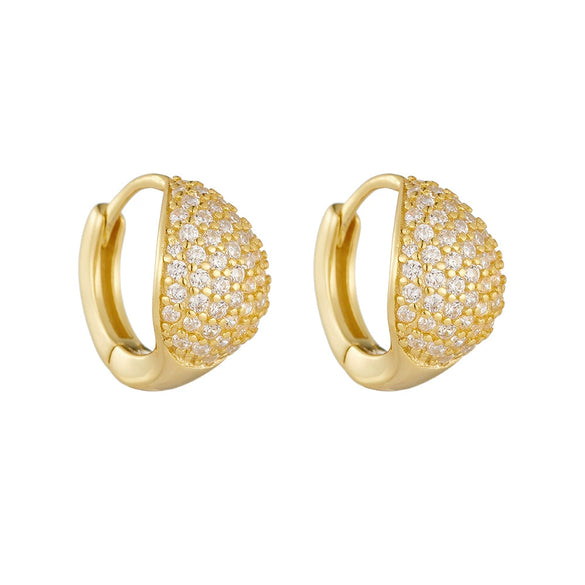 Wholesale S925 Sterling Silver Geometric Microinlaid Zircon Earrings For Women