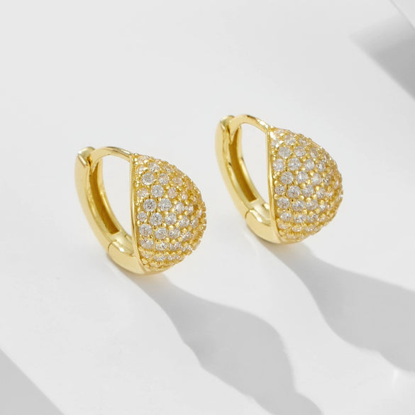 Wholesale S925 Sterling Silver Geometric Microinlaid Zircon Earrings For Women