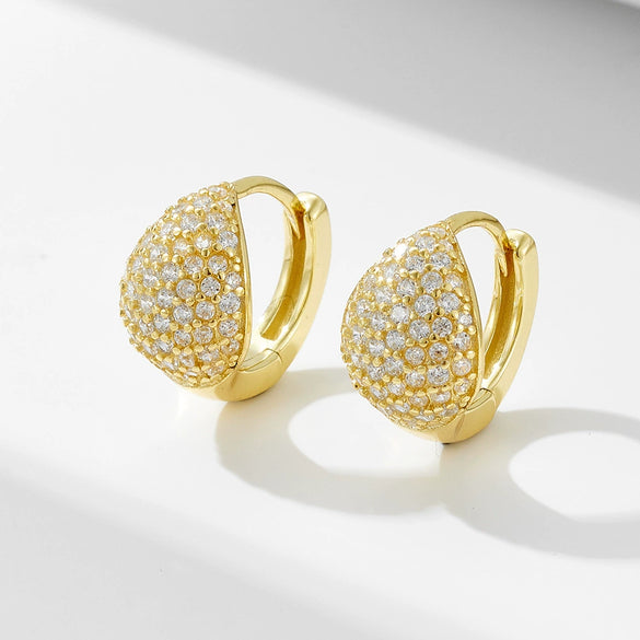 Wholesale S925 Sterling Silver Geometric Microinlaid Zircon Earrings For Women
