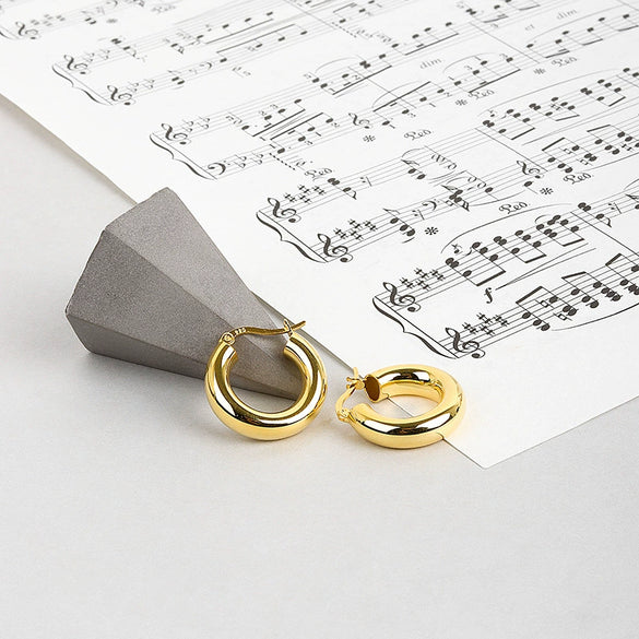 Wholesale S925 Sterling Silver Geometric Minimalist Electroplated Women's Earrings