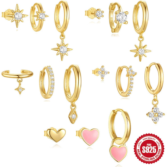 Wholesale S925 Sterling Silver Geometric Pattern Studded Trendy Earrings With Electroplating For Women
