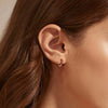 Wholesale S925 Sterling Silver Geometric Red Zircon Round Earring With Electroplating