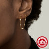 Wholesale S925 Sterling Silver Heart Shaped Diamond Embedded Chain Tassel Earrings For Women With Geometric Design