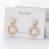 Wholesale S925 Sterling Silver Inlaid Zircon Earrings French Fashion Style
