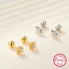 Wholesale S925 Sterling Silver Star Screw Earrings With Electroplating Exquisite Compact Personality Niche Design All Match Women's Earrings