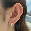 Wholesale S925 Sterling Silver Women's Fashionable Luxury Geometric Oval Stud Earrings Set With Diamonds