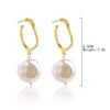 Wholesale Shell Earrings Handmade Geometric Natural Style Alloy Stainless Steel