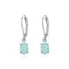 Wholesale 925 Silver Geometric Elegant Electroplated Women's Earrings