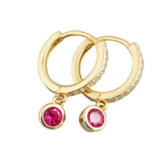 Wholesale 925 Silver Geometric Microinlaid Zircon Earrings For Women With Ring And Ear Buckle