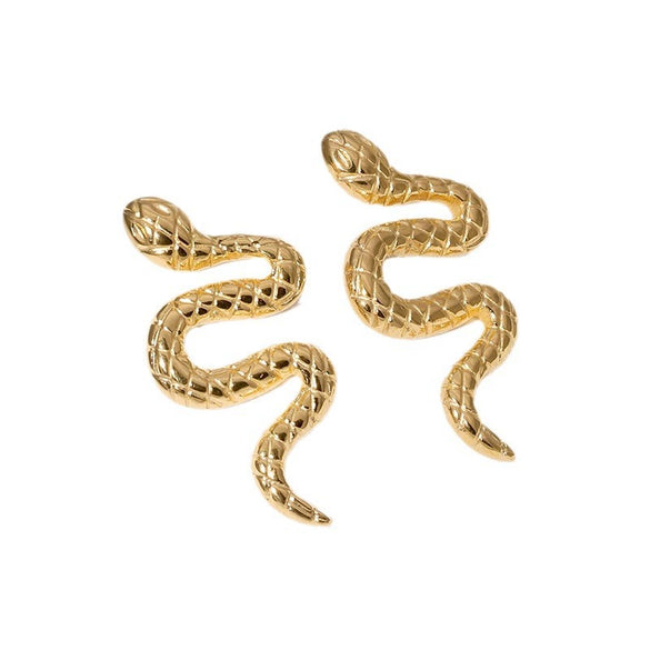 Wholesale Snakeshaped Titanium Steel Stud Earrings With Electroplating Punk And Niche Fashion Nonfading Unisex