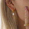 Wholesale Stainless Steel And Freshwater Cultured Pearl Earrings With Twist Buckle Pvd Plated In 18K True Gold Geometric Style