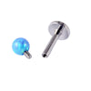 Wholesale Stainless Steel Australian Gem Fashion Ol Round Bead Polishing Ear Ring