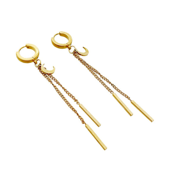 Wholesale Stainless Steel Chain Tassel Earrings Electroplated With Sun Moon Stars Flowers Animal Shapes