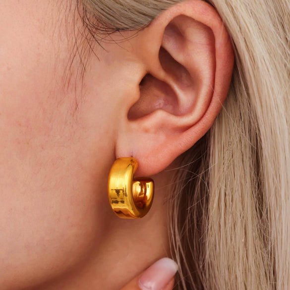 Wholesale Stainless Steel Cshaped Geometric Ushaped Electroplated Light Luxury Women's Earrings
