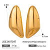 Wholesale Stainless Steel Drop Shaped Electroplated Light Luxury Women's Earrings