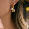 Wholesale Stainless Steel Electroplated Geometric Fourleaf Clover Horseshoe Women's Earrings