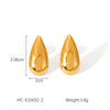 Wholesale Stainless Steel Geometric Drop Shape Electroplated Women's Earrings