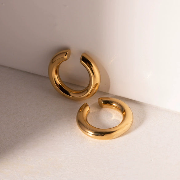 Wholesale Stainless Steel Geometric Earrings Electroplated For Women