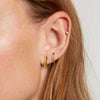 Wholesale Stainless Steel Geometric Earrings With Electroplating For Women