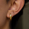 Wholesale Stainless Steel Geometric Electroplated Earrings For Women Light Luxury High End Non Fading