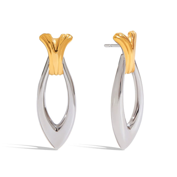 Wholesale Stainless Steel Geometric Fish Earrings Electroplated Women's Jewelry