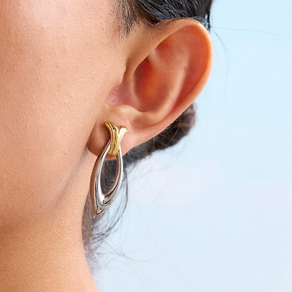 Wholesale Stainless Steel Geometric Fish Earrings Electroplated Women's Jewelry