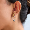 Wholesale Stainless Steel Geometric Fish Earrings Electroplated Women's Jewelry