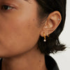 Wholesale Stainless Steel Geometric Rhinestone Ear Buckle Earrings Set Electroplated For Women