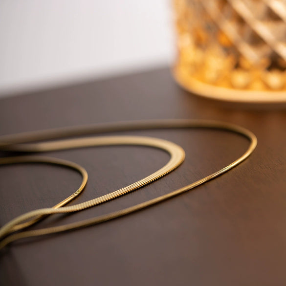 Wholesale Stainless Steel Geometric Snake Bone Chain Necklace For Women Retro Design Electroplated