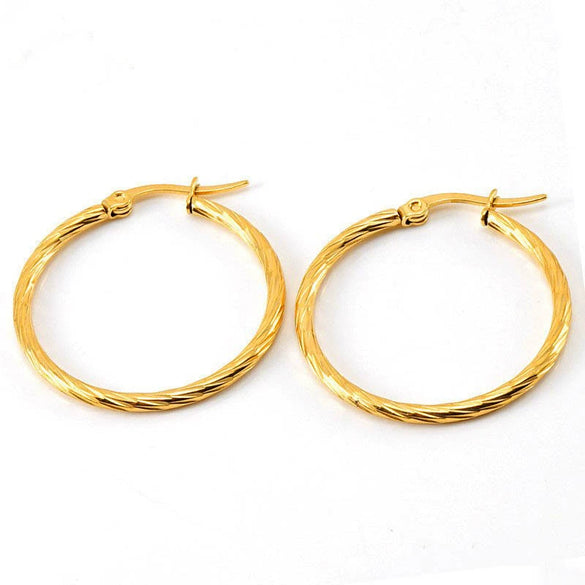 Wholesale Stainless Steel Geometric Spiral Pattern Electroplated Earrings For Women