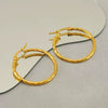 Wholesale Stainless Steel Geometric Spiral Pattern Electroplated Earrings For Women