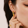 Wholesale Stainless Steel Gold Plated Animal Zodiac Geometric Earrings For Women