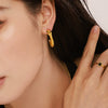 Wholesale Stainless Steel Gold Plated Animal Zodiac Geometric Earrings For Women