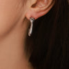 Wholesale Stainless Steel Gold Plated Animal Zodiac Geometric Earrings For Women