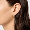 Wholesale Stainless Steel Gold Striped Fanshaped Stud Earrings Electroplated 18K Color Retention Unisex