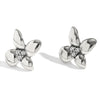Wholesale Stainless Steel 18K Gold Plated Micro Inlaid White Diamond Flower Earrings For Women
