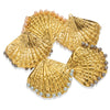 Wholesale Stainless Steel Marine Life Conch Shell Pendant Diy Handmade Jewelry Accessories Electroplated