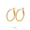 Wholesale Stainless Steel Multisurface Cutting Electroplated Women's Light Luxury Exaggerated Earrings