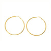 Wholesale Stainless Steel Plain Hoop Earrings For Women Geometric Style 18K Gold Plated Vacuum Real Gold Electroplated In Pvd Furnace