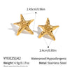 Wholesale Star Shaped Swirl Pattern Stainless Steel Earrings With Vacuum Real Gold Plating For Women